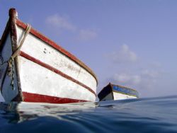 fishermans by Juan Roch 